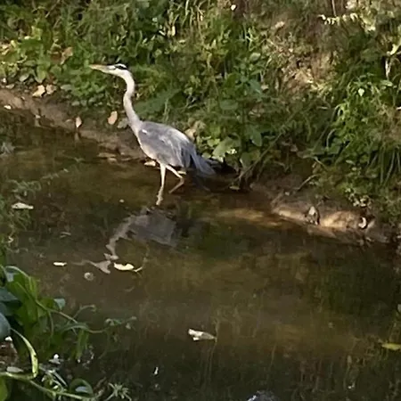 Familial Inclus Avec Cour, Terrasse Et Equipements Equestres, Proche Du Parc Naturel De L'avesnois - Fr-1-510-190 Casa de Férias Villers-Pol